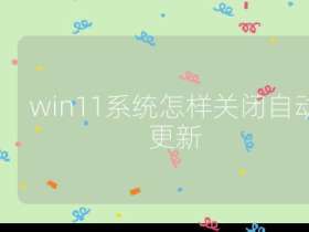 win11系统怎样关闭自动更新